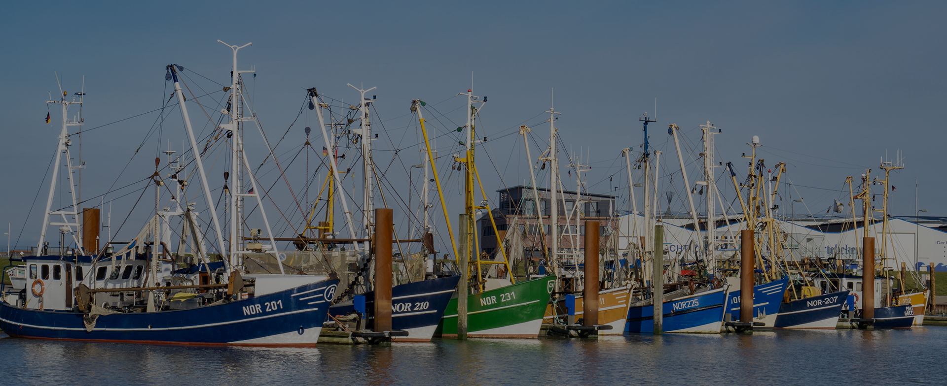 Row of commercial fishing boats moored in harbor